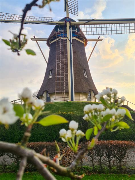 Welkom bij molen De Duif te Nunspeet.